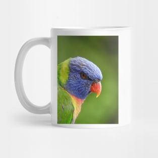 Rainbow Lorikeet Mug